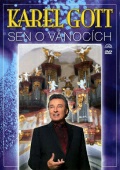 Sen o vánocích